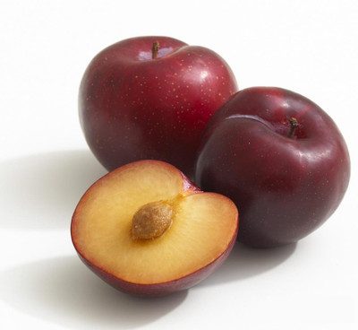 

National Gardens Imported Plum Seeds by National Gardens Seed(5 per packet)