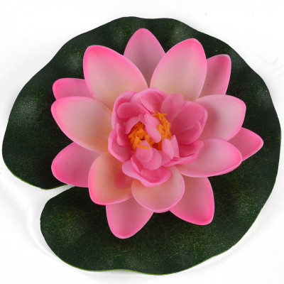 

Imago Lotus Red Seed(20 per packet)