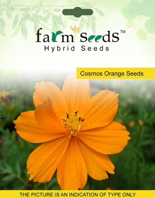 

FARM SEEDS Cosmos Orange Seed(100 per packet)