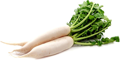 

Imago Radish Seed(20 per packet)
