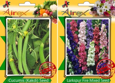 Airex Cucumis, Larkspur Fire Mixed Seed(25 per packet)