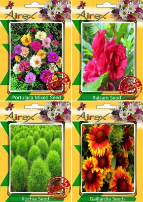 Airex Portulaca Mixed,Balsam,Kochia and Gaillardia Seed(20 per packet)