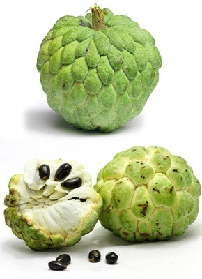

Real Seed Custard Apple Hybrid Imported Seed(15 per packet)
