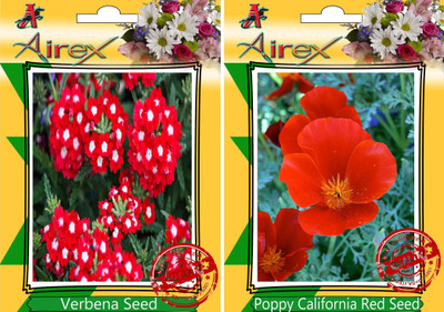 Airex Verbena, Poppy California Red Seed(20 per packet)