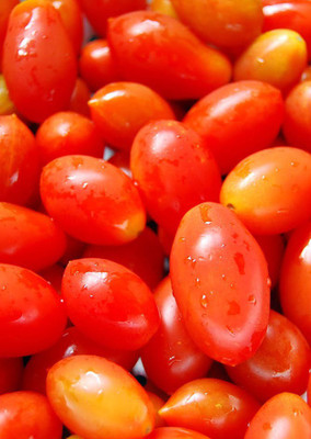 

Real Seed Cheery Tomato F1 Hybrid Imported Seed(20 per packet)