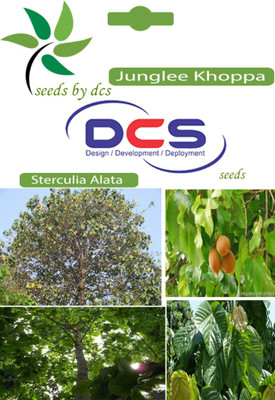 

DCS Junglee Khoppa Seed(10 per packet)