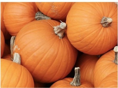 

Agricart Pumpkin Seed(30 per packet)
