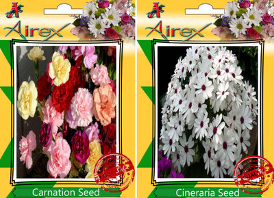 

Airex Carnation, Cineraria Seed(15 per packet)