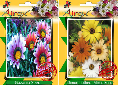 

Airex Gazania, Dimorphotheca Mixed Seed(25 per packet)