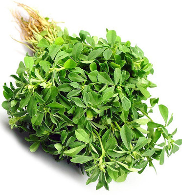 

Real Seed Methi Kasturi F1 Hybrid Vegetable Seeds Seed(600 per packet)