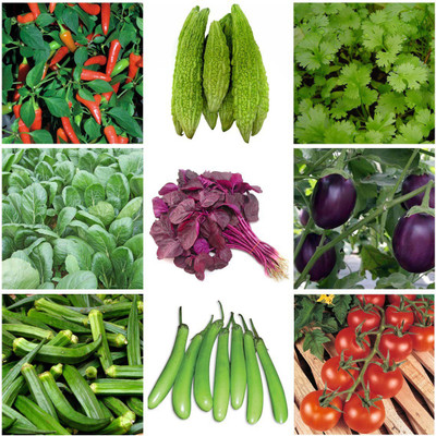 

Real Seed Vegetable Seeds Combo Pack Seed(9 per packet)