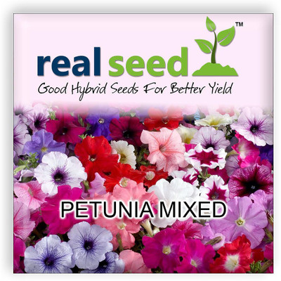 

Real Seed Petunia Mixed Seed(200 per packet)