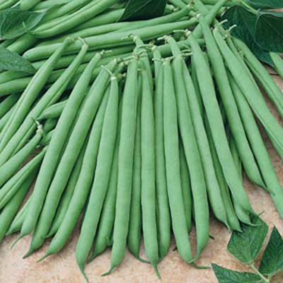

Raunak Seeds Bean Seed(50 per packet)