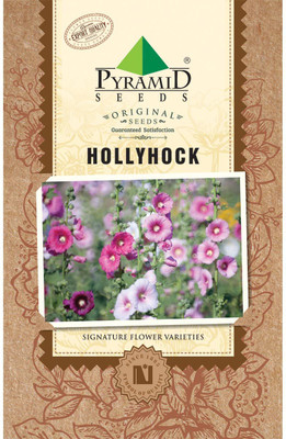 

PYRAMID SEEDS Hollyhocks Seed(100 per packet)