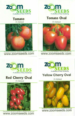 

Easy Gardening Tomato Round, Tomato Oval, Tomato Cherry Red, Tomato Cherry Yellow Seed(10 per packet)