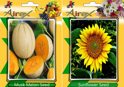 Airex Musk Melon and Sunflower Seed(15 per packet)