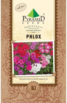 Pyramid Seeds Flower Seed(100 per packet)