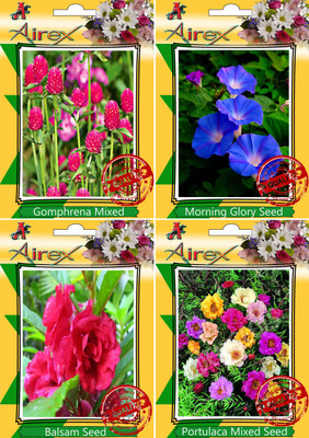 

Airex Gomphrena Mixed,Morning Glory,Balsam and Portulaca Mixed Seed(25 per packet)