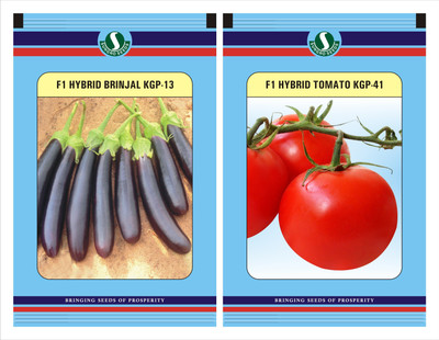 Sungro Seeds Limited Sungro Hybrid Brinjal Long and Tomato Seeds Combo Pack Seed(50 per packet)