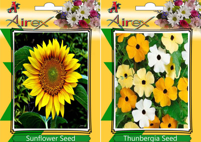 

Airex Sunflower, Thunbergia Seed(20 per packet)