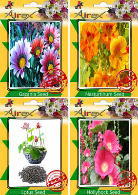 

Airex Gazania, Nasturtium Mixed, Lotus, Hollyhock Seed(20 per packet)