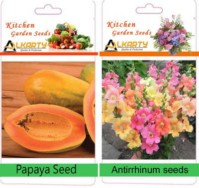 

Alkarty papaya seed, antirrhinum seed Seed(20 per packet)