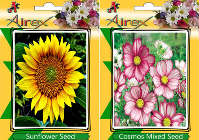 

Airex Sunflower, Cosmos Mixed Seed(15 per packet)
