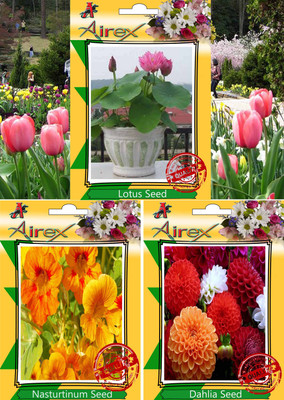 

Airex Lotus, Nasturtinum Mixed, Dahlia Seed(20 per packet)