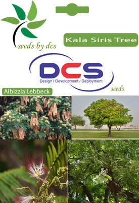

DCS Kala Siris Seed(25 per packet)
