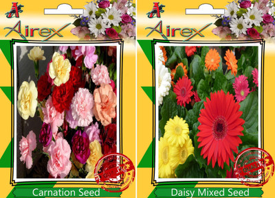 Airex Carnation, Daisy Mixed Seed(25 per packet)