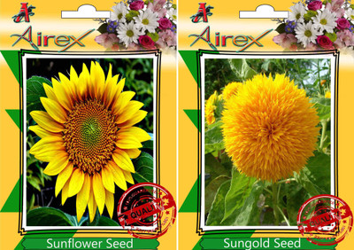 

Airex Sunflower and Sungold Seed(15 per packet)