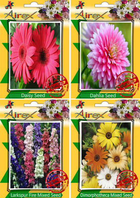 

Airex Daisy, Dahlia, Larkspur Fire Mixed, Dimorphotheca Mixed Seed(30 per packet)
