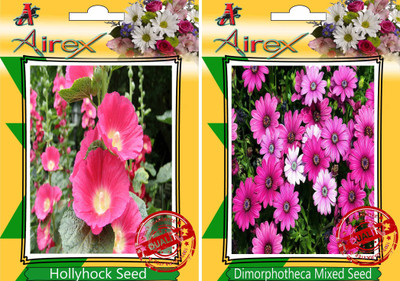 Airex Hollyhock, Dimorphotheca Mixed Seed(15 per packet)