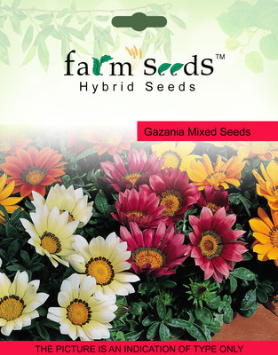 

FARM SEEDS Gazania Mixed . Seed(100 per packet)