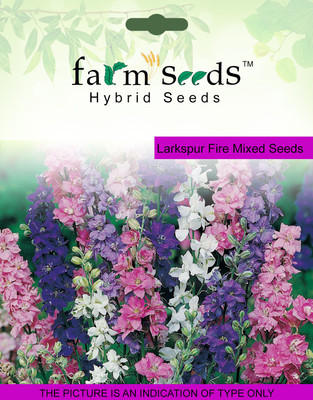 

FARM SEEDS Larkspur Fire Mixed Seed(100 per packet)