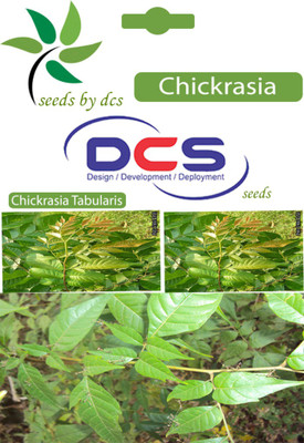 

DCS Chickrasia Seed(10 per packet)