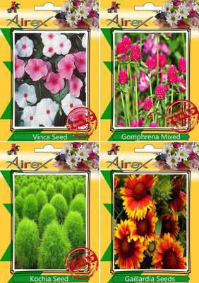 

Airex Vinca,Gomphrena Mixed,Kochia and Gaillardia Seed(15 per packet)