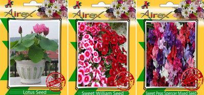 

Airex Lotus, Sweet William, Sweet Peas Spencer Mixed Seed(20 per packet)