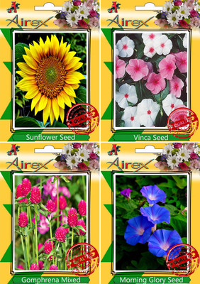 

Airex Sunflower, Vinca, Gomphrena Mixed, Morning Glory Seed(20 per packet)