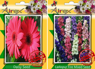 

Airex Daisy, Larkspur Fire Mixed Seed(25 per packet)