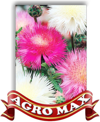 

AGRO MAX SWEET SULTAN SPECIAL MIXED Seed(50 per packet)