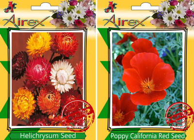 

Airex Helichrysum Mixed, Poppy California Red Seed(30 per packet)