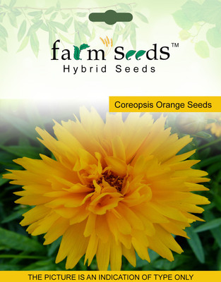 

FARM SEEDS Coreopsis Orange Seed(100 per packet)