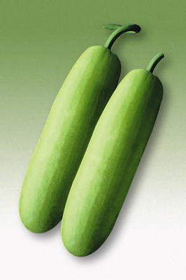 Indous Agriseeds Bottle Gourd Seed(60 Per Packet)