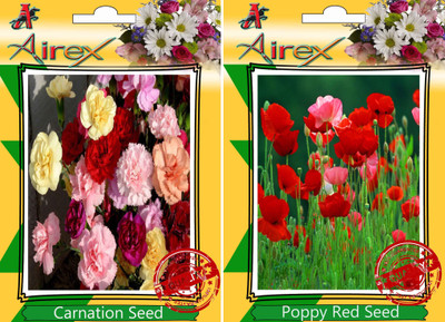 

Airex Carnation, Poppy Red Seed(20 per packet)