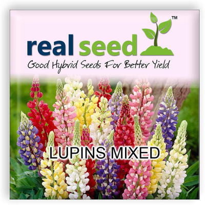 

Real Seed Lupins Mixed Seed(15 per packet)