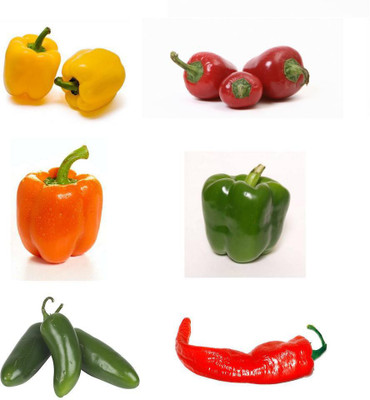 

National Gardens Pepper Seeds Combo - 6 Types - 100+ Seeds by National Gardens Seed(100 per packet)
