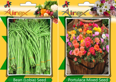 Airex Bean (Lobia) and Portulaca Mixed Seed(20 per packet)