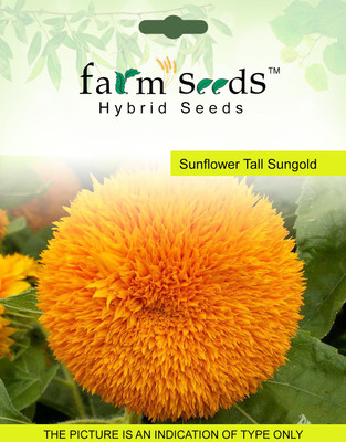 

FARM SEEDS Sunflower Tall Sungold Seed(50 per packet)
