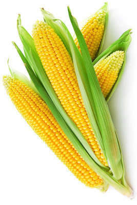 

Real Seed Sweet Corn F1 Hybrid Imported Seed(5 per packet)